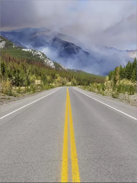 Forest Fire near Saskatchewan Crossing, Banff National Park, UNESCO World Heritage Site