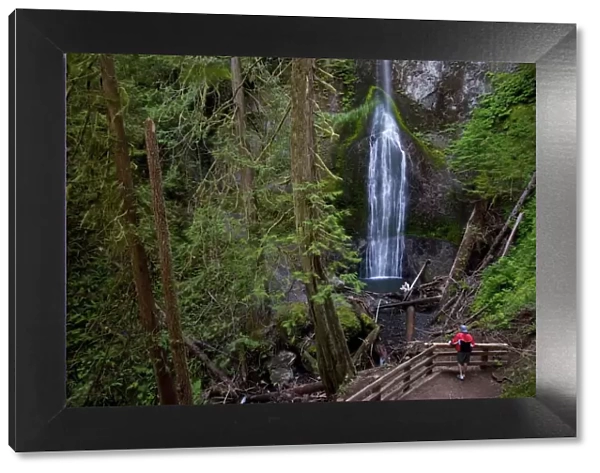 Marymere Falls, Olympic National Park, UNESCO World Heritage Site, Washington