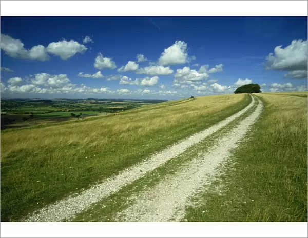 Landscape near Win Green, Shaftesbury, Wiltshire, England, United Kingdom, Europe