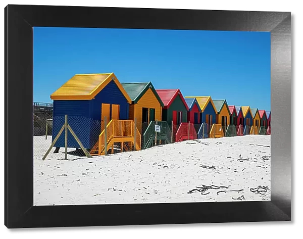 Colourful beach huts on the beach of Muizenberg, Cape Town, South Africa, Africa