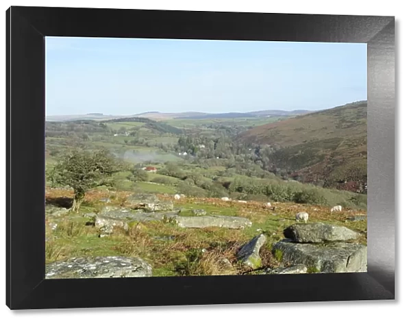 Combs Tor, the area where the film War Horse was filmed, Dartmoor National Park, Devon, England, United Kingdom, Europe