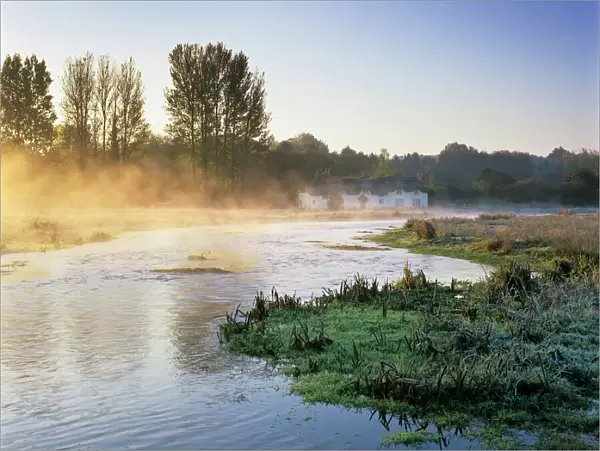 Misty River Test on Chilbolton Common, Wherwell, Hampshire, England, United Kingdom, Europe