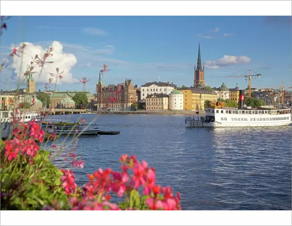 City skyline and flowers, Stockholm, Sweden, Scandinavia, Europe