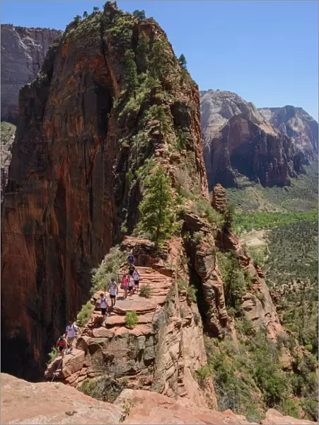 Trail to Angels Landing, Zion National Park, Utah, United States of America, North America