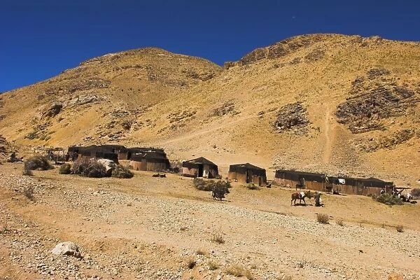 Aimaq nomad camps, near village of Jam, Ghor (Ghowr province), Afghanistan, Asia