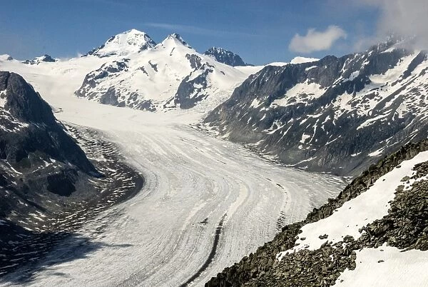 Aletsch Glacier and the Jungfrau, seen from Eggishorn, above Fiesch, Swiss Alps, Switzerland