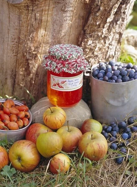Apple, Sloe and Rosehip jam and fruit