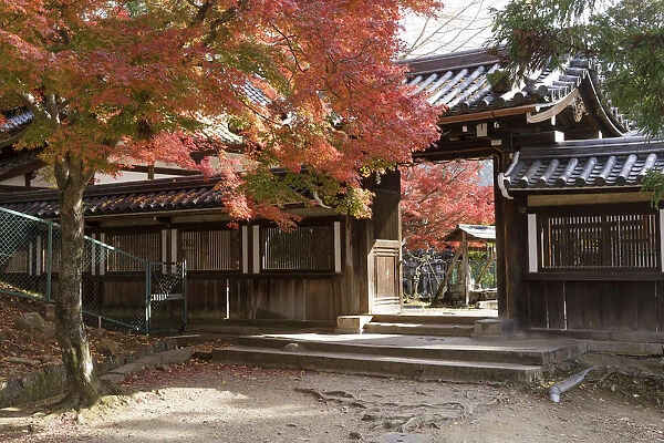 Autumn color around Daikoku-den Hall in Nara, Japan, Asia