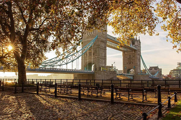 Autumn sunrise in grounds of the Tower of London, with Tower Bridge, London, England