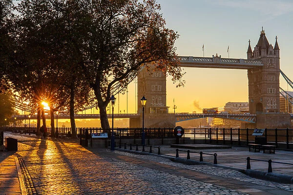 Autumn sunrise in grounds of the Tower of London, with Tower Bridge, London, England