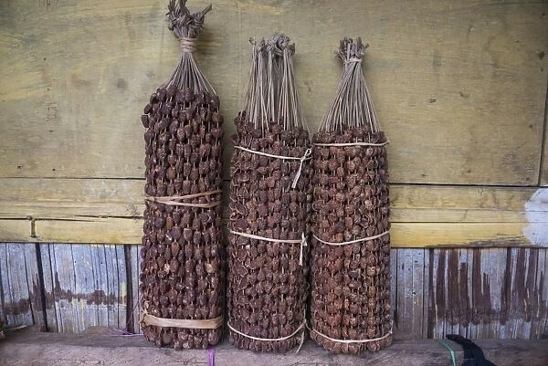 Betel nut (Areca catechu) for sale in a market in Maubisse, East Timor, Southeast Asia