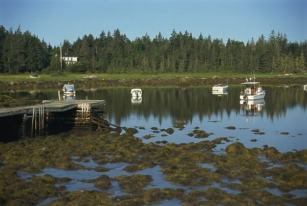 Boats moored in Peggys Cove at low tide, South Shore, Nova Scotia