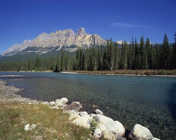 The Bow River with trees and Castle Mountain beyond in the Banff National Park