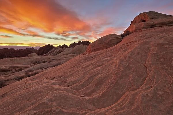 Brilliant orange clouds at sunrise over sandstone, Valley Of Fire State Park, Nevada