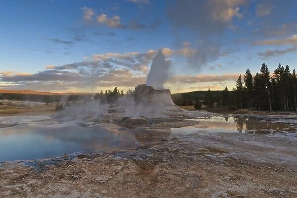 Castle Geyser at sunset, Upper Geyser Basin, Yellowstone National Park, UNESCO World Heritage Site, Wyoming, United States of America, North America