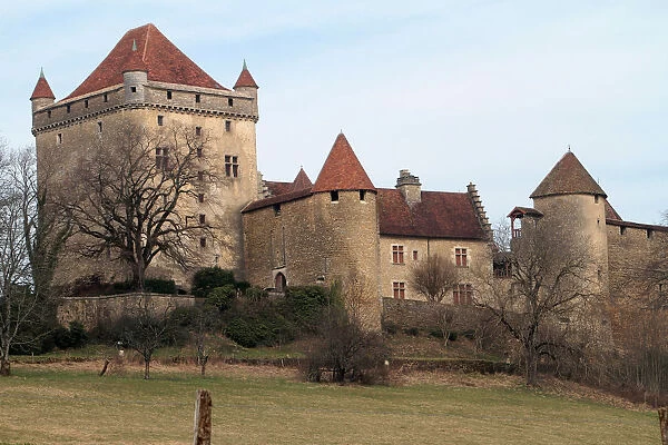 Chateau du Pin, Le Pin, Jura, Franche Comte, France, Europe