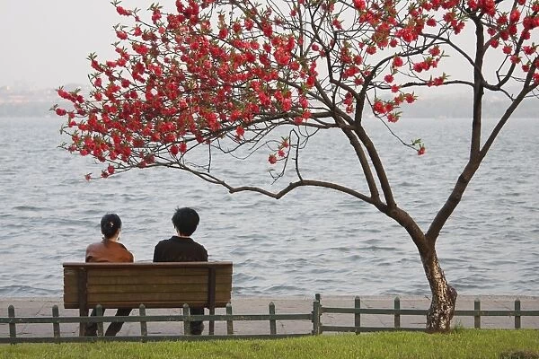 Chinese couple sitting under tree in blossom along Xi Hu (West Lake) at dusk