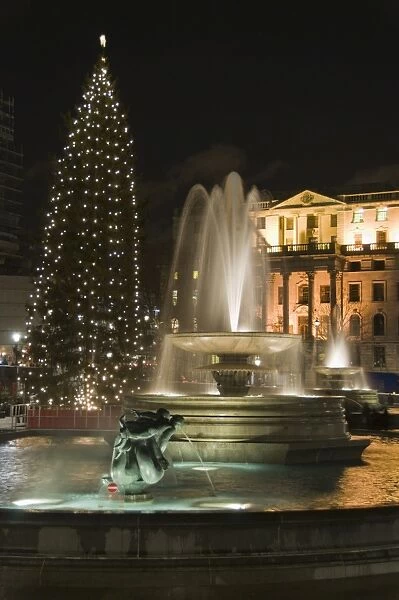 Christmas tree and fountains in Trafalgar Square at night, London, England