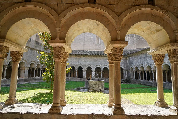 The cloister of the Cathedral of Saint Mary of Girona, Girona, Catalonia, Spain, Europe