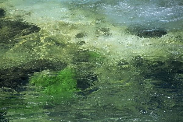 Close-up of water whirling over green rocks