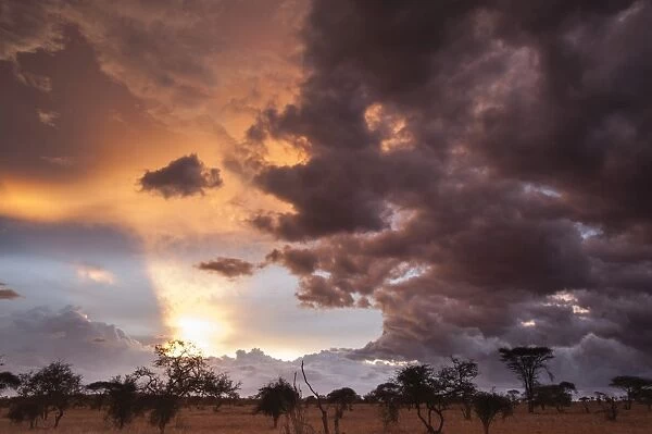 Clouds approach the savannah at the beginning of the rainy season, Tsavo, Kenya, East Africa