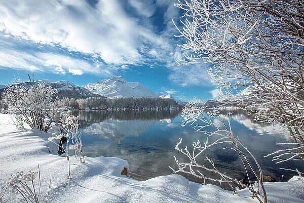 Clouds over snowy woods on shores of frozen Lake Sils in winter, Engadine, Canton of Graubunden, Switzerland, Europe