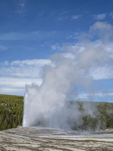 The cone geyser called Old Faithful erupting, Yellowstone National Park