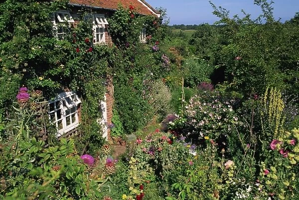 Detail of cottage and garden, Suffolk, England, United Kingdom, Europe