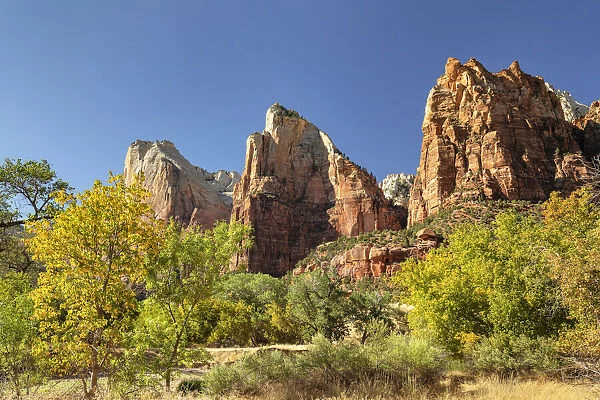 Court of Patriarchs, Zion National Park, Colorado Plateau, Utah, United States of America