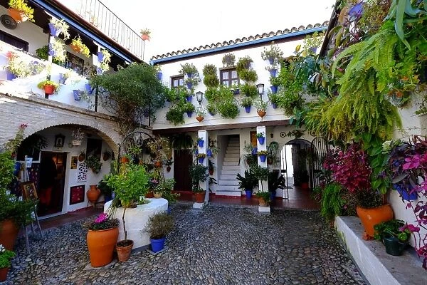 Courtyard of Casa Patio, Cordoba, Andalucia, Spain, Europe