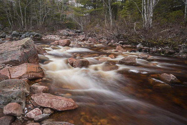 Creek flowing near Mary Ann Falls, Cape Breton Highlands National Park, Nova Scotia