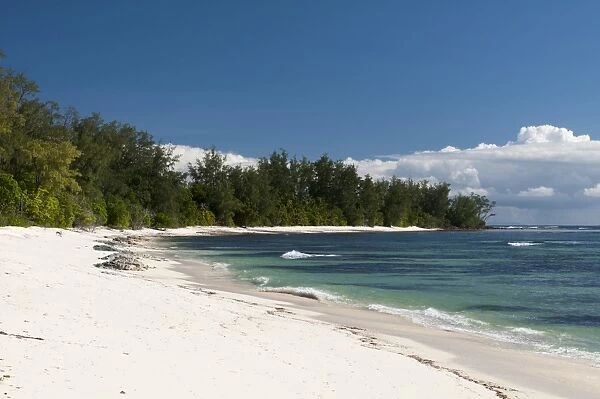 Denis Island, Seychelles, Indian Ocean, Africa