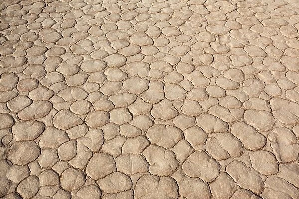 Dried mud, Dead Vlei, Namib Desert, Namibia, April 2013