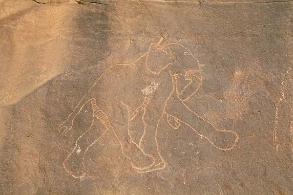 Elephant, primitive rock carving, Akakus, Sahara desert, Fezzan, Libya