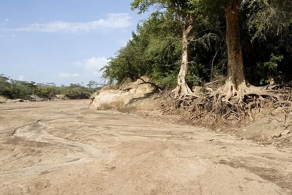 Erosion, Turmi, Ethiopia, Africa