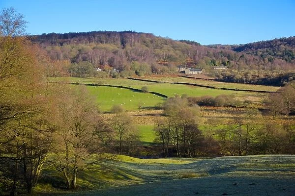 Farm near Grindleford, Peak District National Park, Derbyshire, England, United Kingdom, Europe