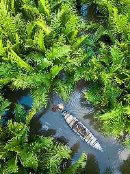 Fisherman fishing in the middle of nipa palm forest, Quang Ngai, Vietnam, Indochina