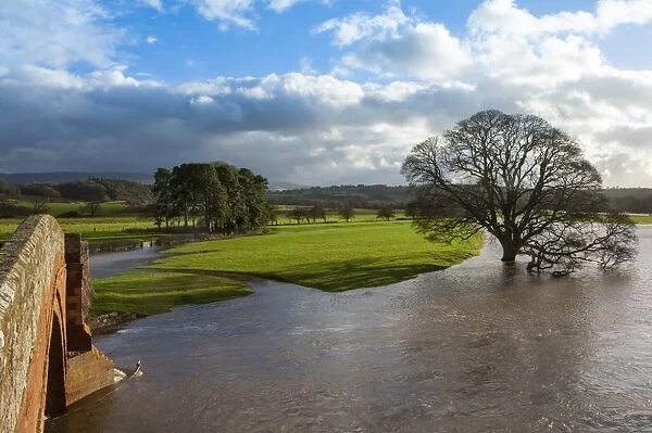 Floodwaters, Lazonby Bridge, River Eden, Eden Valley, Cumbria, England, United Kingdom, Europe