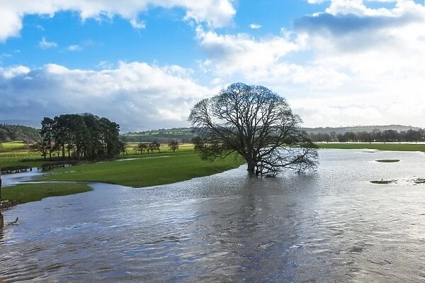 Floodwaters, River Eden, Eden Valley, Cumbria, England, United Kingdom, Europe