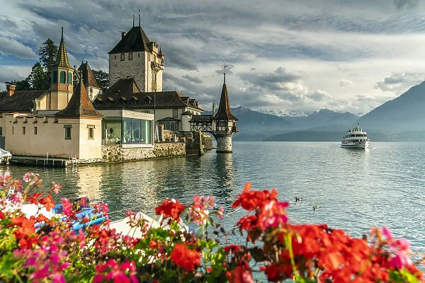 Flowers framing Oberhofen Castle and Lake Thun, Canton of Bern, Switzerland, Europe