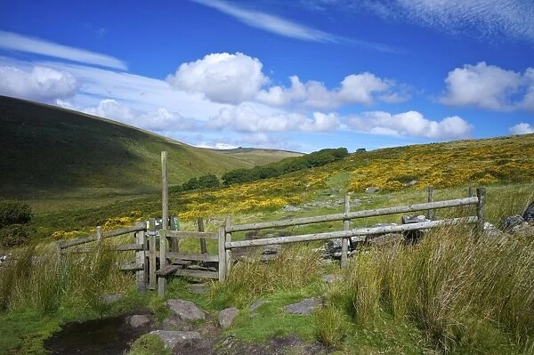 The footpath to Wistmans Wood on Dartmoor, Devon, England, United Kingdom, Europe