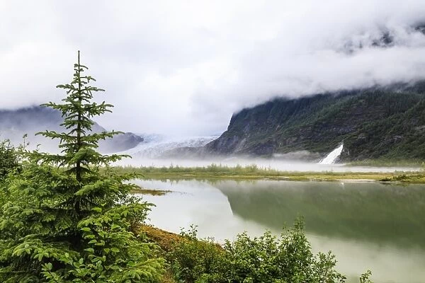Forest mist and reflections, Mendenhall Glacier and Lake and Nugget Falls Cascade