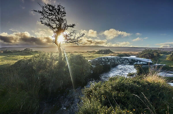 A gnarled old hawthorn tree silhouetted by the setting sun, with an ancient stone bridge crossing a stream nearby, on open moorland, Gidleigh Common, near Chagford, Dartmoor National Park, Devon, England, United Kingdom, Europe