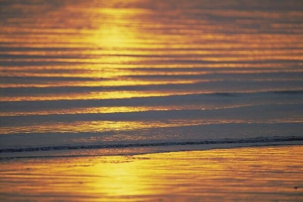 Golden light on ripples on the sea shore