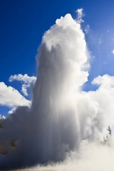 Grand Geyser erupts and steam blocks the sun, Upper Geyser Basin, Yellowstone National Park, UNESCO World Heritage Site, Wyoming, United States of America, North America