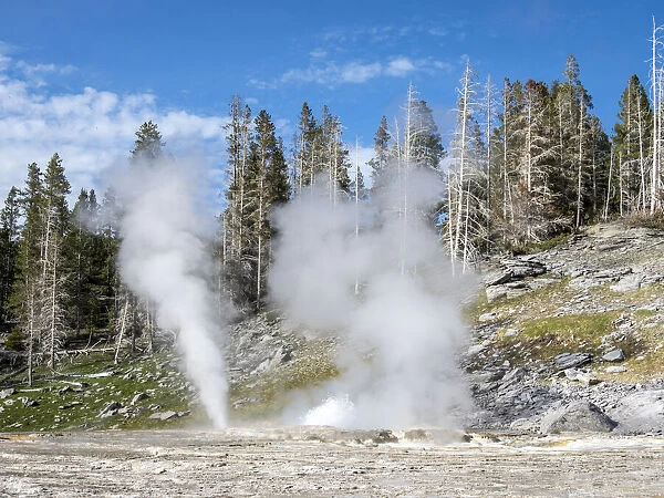 Grand Geyser, in the Norris Geyser Basin area, Yellowstone National Park