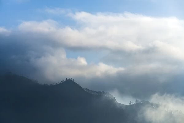 Haputale, above the clouds in the Sri Lanka Hill Country, Nuwara Eliya District, Sri Lanka, Asia