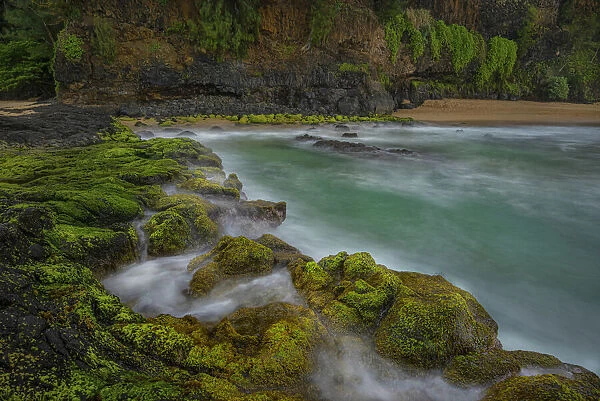 A hidden mossy and turquoise beach cove in Hawaii, United States of America, Pacific