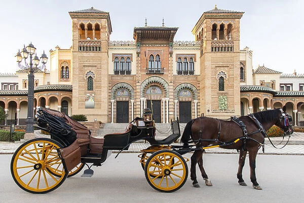 Horse and carriage waiting for tourists at Parque de Maria Luisa in Seville, Andalucia