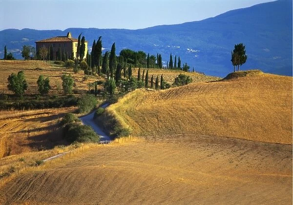House in a Field in the Siena Countryside, Tuscany, Italy